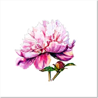 Pink peony Posters and Art